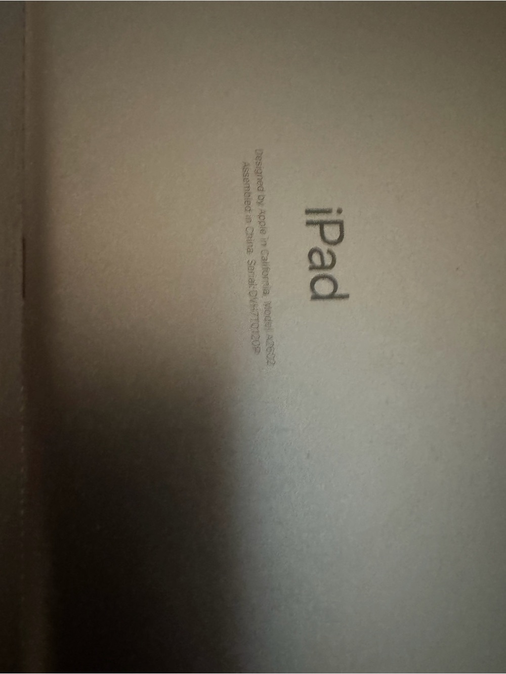 iPad Back